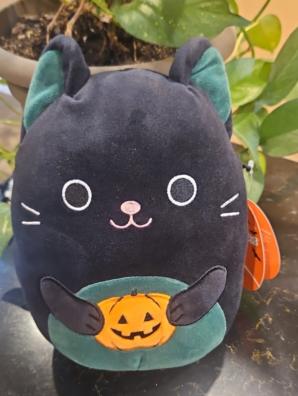 Squishmallows Cleo Black Cat Plush Toy with Pumpkin - Halloween Pet Cat Plush